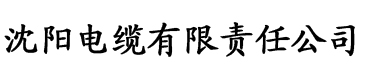 久久精品免费一区二区电缆厂logo